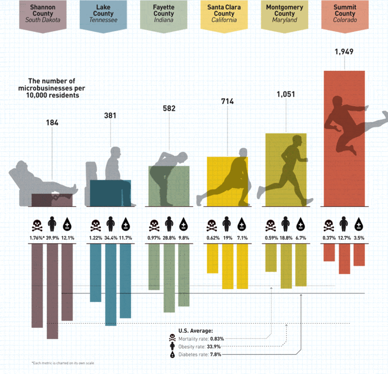 Microbusinessinfographic