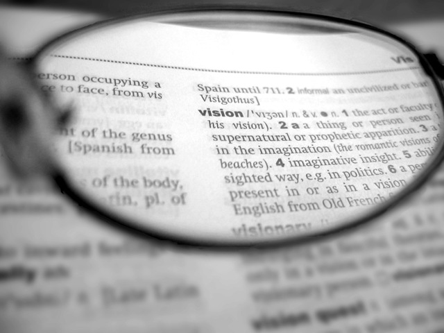 Vision article