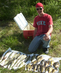 50+ bass and large bluegills